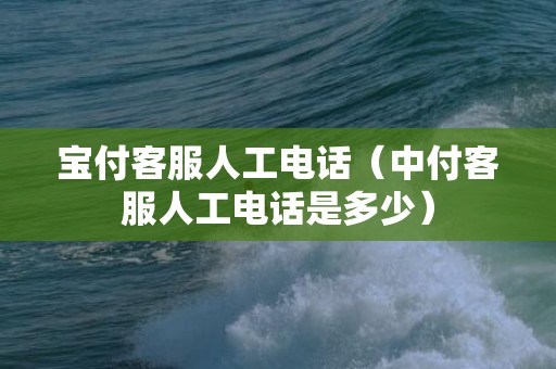 宝付客服人工电话（中付客服人工电话是多少）