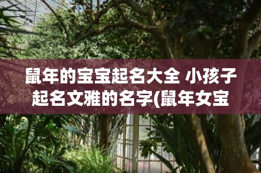 鼠年的宝宝起名大全 小孩子起名文雅的名字(鼠年女宝宝起名免费)