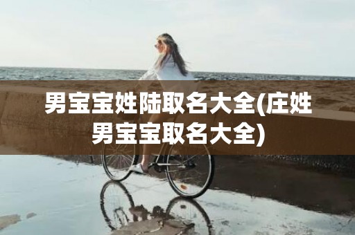 男宝宝姓陆取名大全(庄姓男宝宝取名大全)