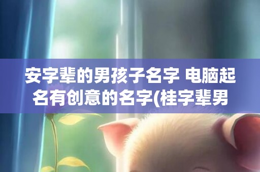 安字辈的男孩子名字 电脑起名有创意的名字(桂字辈男孩子名字)