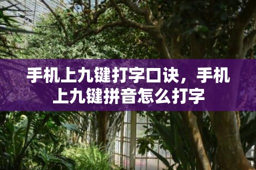 手机上九键打字口诀，手机上九键拼音怎么打字
