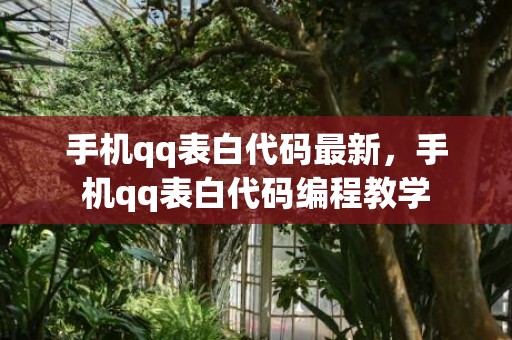 手机qq表白代码最新，手机qq表白代码编程教学