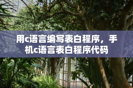 用c语言编写表白程序，手机c语言表白程序代码