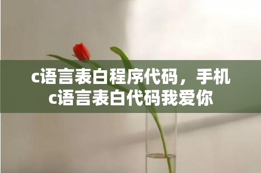 c语言表白程序代码，手机c语言表白代码我爱你