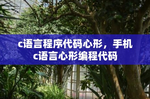 c语言程序代码心形，手机c语言心形编程代码