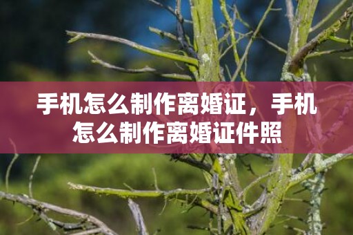手机怎么制作离婚证，手机怎么制作离婚证件照