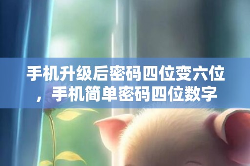 手机升级后密码四位变六位，手机简单密码四位数字