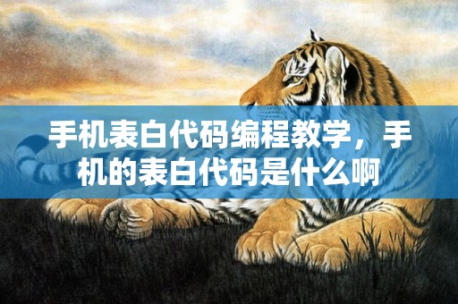 手机表白代码编程教学，手机的表白代码是什么啊