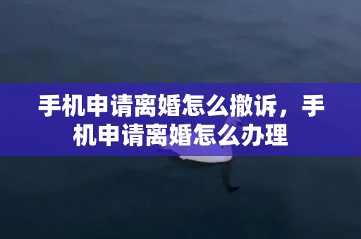 手机申请离婚怎么撤诉，手机申请离婚怎么办理