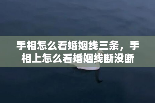 手相怎么看婚姻线三条，手相上怎么看婚姻线断没断