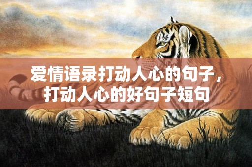 爱情语录打动人心的句子，打动人心的好句子短句