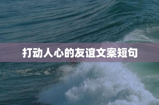 打动人心的友谊文案短句