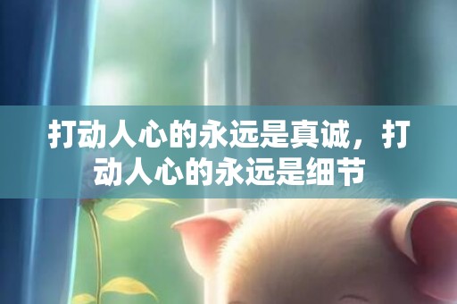 打动人心的永远是真诚，打动人心的永远是细节