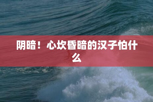 阴暗！心坎昏暗的汉子怕什么