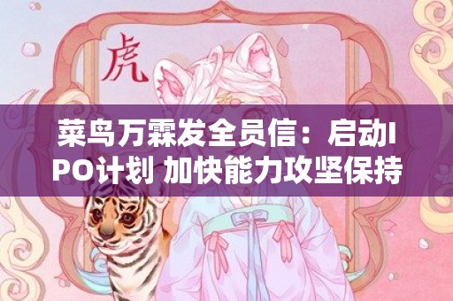 菜鸟万霖发全员信：启动IPO计划 加快能力攻坚保持创业精神