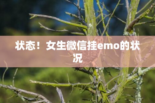 状态！女生微信挂emo的状况
