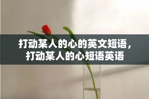 打动某人的心的英文短语，打动某人的心短语英语