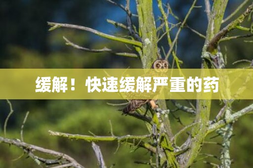 缓解！快速缓解严重的药