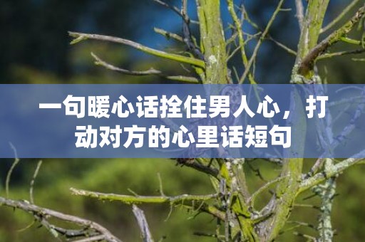 一句暖心话拴住男人心，打动对方的心里话短句