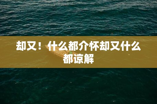 却又！什么都介怀却又什么都谅解