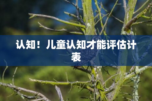 认知！儿童认知才能评估计表