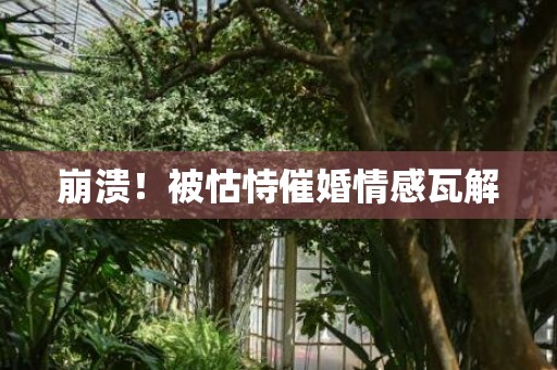 崩溃！被怙恃催婚情感瓦解