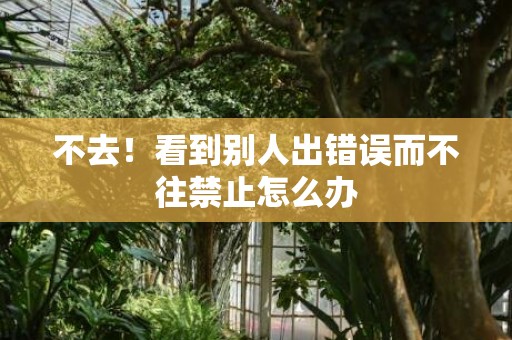 不去！看到别人出错误而不往禁止怎么办