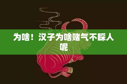 为啥！汉子为啥赌气不睬人呢