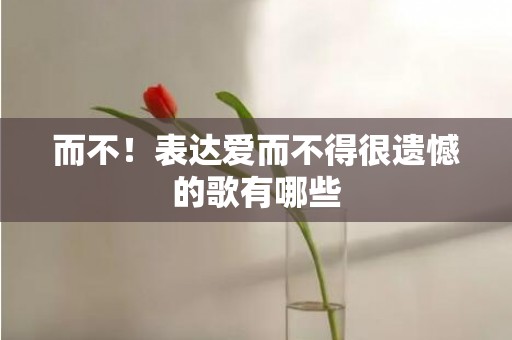 而不！表达爱而不得很遗憾的歌有哪些