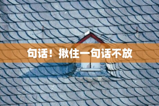 句话！揪住一句话不放