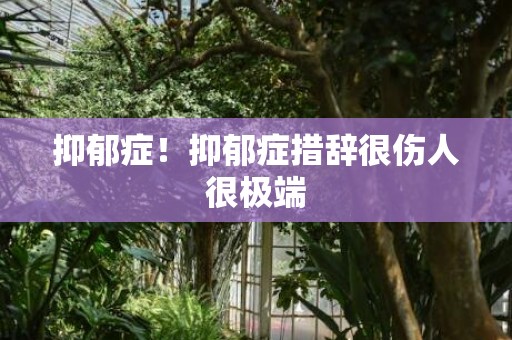 抑郁症！抑郁症措辞很伤人很极端