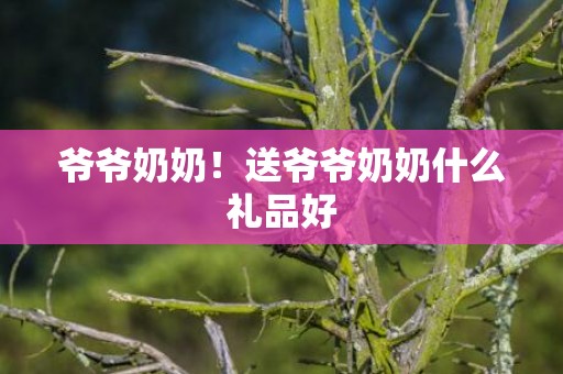 爷爷奶奶！送爷爷奶奶什么礼品好