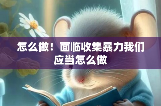 怎么做！面临收集暴力我们应当怎么做