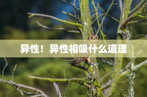 异性！异性相吸什么道理