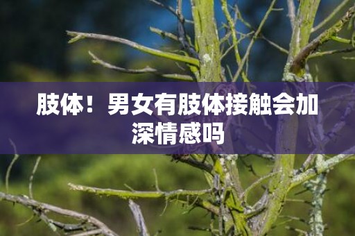 肢体！男女有肢体接触会加深情感吗