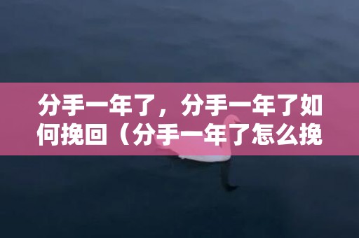 分手一年了，分手一年了如何挽回（分手一年了怎么挽回）