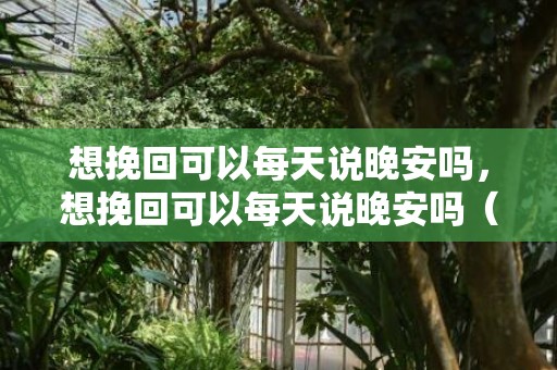 想挽回可以每天说晚安吗，想挽回可以每天说晚安吗（想挽回需要跟她每天说晚安嘛）