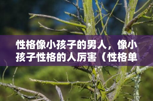 性格像小孩子的男人，像小孩子性格的人厉害（性格单纯得像个孩子）