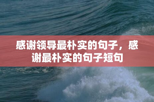 感谢领导最朴实的句子，感谢最朴实的句子短句