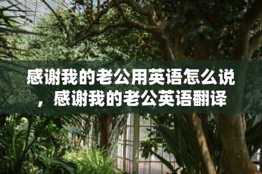 感谢我的老公用英语怎么说，感谢我的老公英语翻译