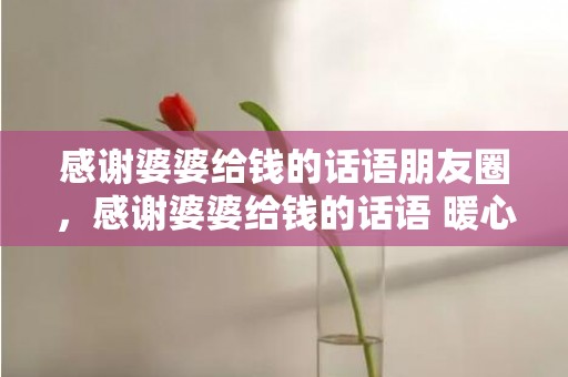感谢婆婆给钱的话语朋友圈，感谢婆婆给钱的话语 暖心