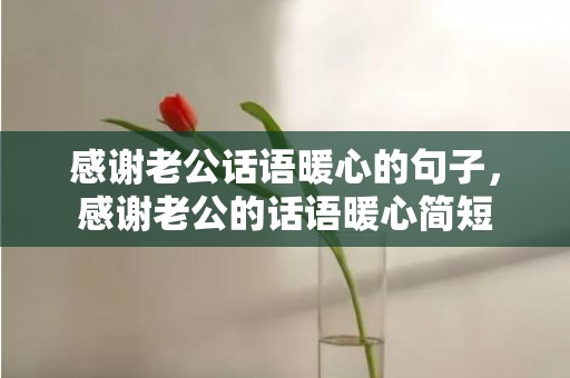 感谢老公话语暖心的句子，感谢老公的话语暖心简短