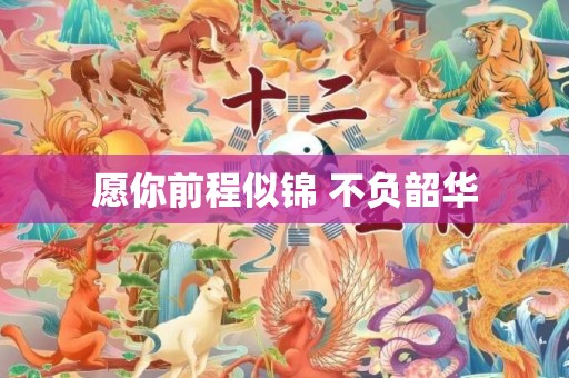 愿你前程似锦 不负韶华