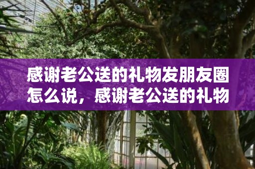 感谢老公送的礼物发朋友圈怎么说，感谢老公送的礼物文案