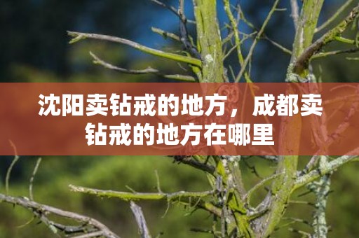沈阳卖钻戒的地方，成都卖钻戒的地方在哪里