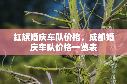 红旗婚庆车队价格，成都婚庆车队价格一览表