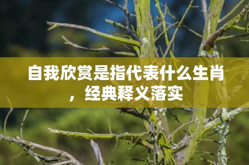 自我欣赏是指代表什么生肖，经典释义落实
