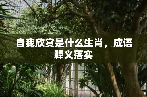 自我欣赏是什么生肖，成语释义落实