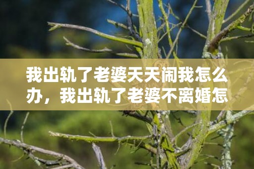 我出轨了老婆天天闹我怎么办，我出轨了老婆不离婚怎么办