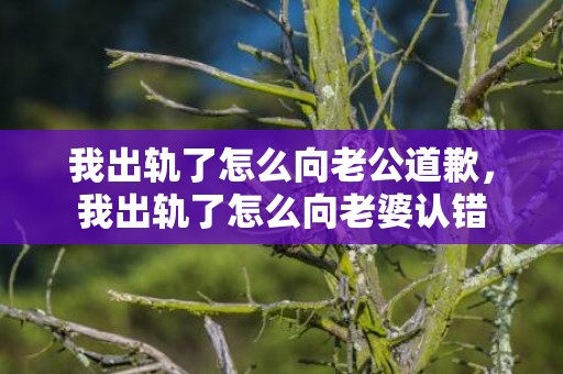 我出轨了怎么向老公道歉，我出轨了怎么向老婆认错